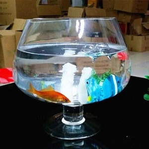 Wholesale New Design and High Quality Wine Glass Shaped Fish Tank