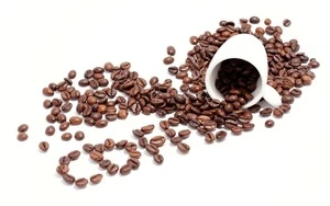 wholesale price for  Top Quality Arabica Coffee