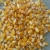 Import yellow bulk sweet iqf frozen whole kernel corn from Ukraine