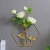 Import Wall decoration plant support Wall hanging plant metal Metal glass test tube vase custom from China