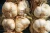 Import Fresh garlic for Sale from South Africa