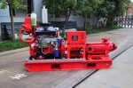 Fire Pumps