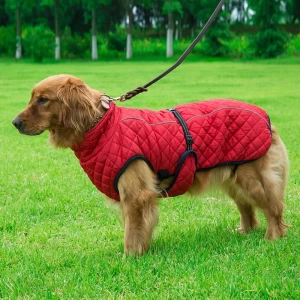 big dog clothes cotton dog jacket