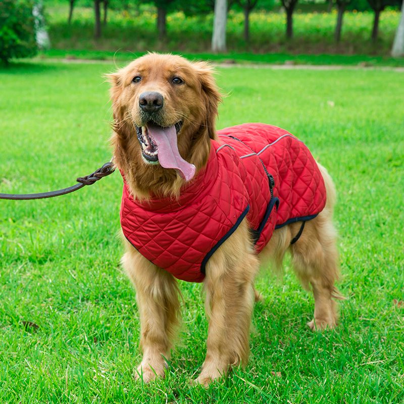 Buy Big Dog Clothes Cotton Dog Jacket from Qingdao Ole Pet Food, China