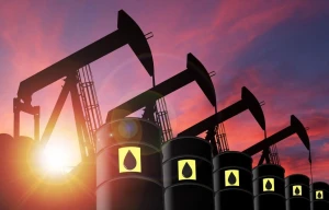 BLCO - Bonny Lite Crude Oil From Nigeria in Best Price