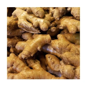 Fresh Ginger | Premium Export Quality | 5kg–20kg Packing