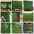 Import Anti-ultraviolet artificial plant wall panel artificial boxwood against the green plant wall from Hong Kong