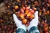 Import Refined Palm Oil (RBD Palm Oil) – Food & Industrial Grade from South Africa