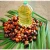 Import Refined Palm Oil (RBD Palm Oil) – Food & Industrial Grade from South Africa