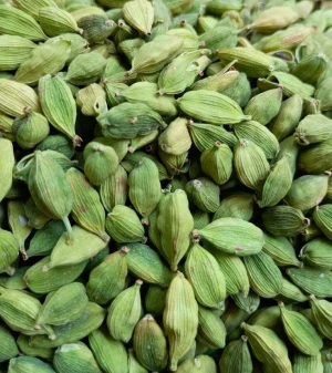 Premium Green Cardamom – Bold Pods, Aromatic & Export Quality