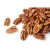 Import Fresh Pecan Nuts from South Africa