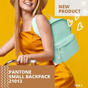 Pantone Small Backpack - #21013
