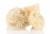 Import Natural Egyptian Loofah Sponge Wholesale Supplier from Egypt