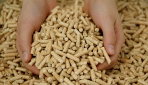 Wood Pellets for BioFuel with High Capacity Production