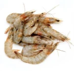 Shrimps