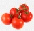 Import Wholesale Box Style Storage Packaging Cherry Tomato Tomato Fresh Red Fresh Tomato from Republic of Türkiye