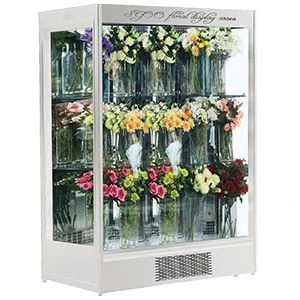 Double door flower display cabinet air refrigerator fresh-keeping cabinet freezer commercial flower display cabinet