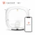 Import Robot Vacuum Cleaner from China