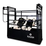 BA-LiveStox Caged Cattle Scale with High End Indicator