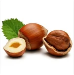 Raw Hazelnut / Organic Grade Hazelnut/Hazel Nuts for sale