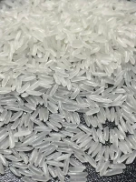 5451 RICE
