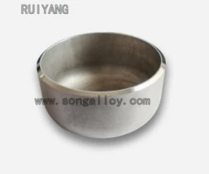 317/L 310/S Stainless Steel Welded Pipe Cap