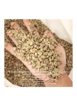 Robusta Indonesia Grade 1 Defect 11 Point