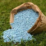 NPK Compound Fertilizer 20-20-20 Water Soluble Plant Nutrient Vegetables Fruits Crops High Yield Agriculture Fertilizer