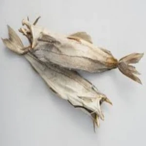 Tusk Dry Stock Fish Cod Best For Sale