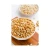 Import Best Quality Hot Selling Highly Nutritious Sweet and Crunchy Natural Pine Nuts Kernels for Wholesale Purchase from Tanzania