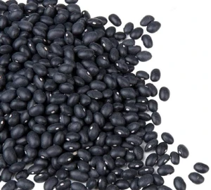 Lowest price Dried Bulk black kidney beans