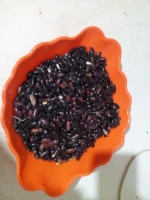 Kidney Beans