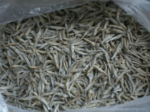 Dry Salted Anchovies