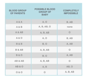 Just how blood groups are acquired and why it ´ s essential that you understand yours