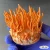 Import CORDYCEPS from India