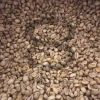Indonesian Robusta Green Coffee Beans-Java Preanger Classic Natural