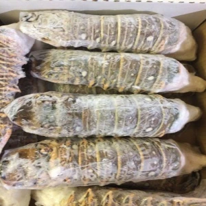 Cold Water Frozen Lobster Tails