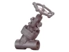 Y type Forged End Globe Valve