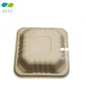 100% Biodegradable Disposable Bamboo Paper Pulp Food Container