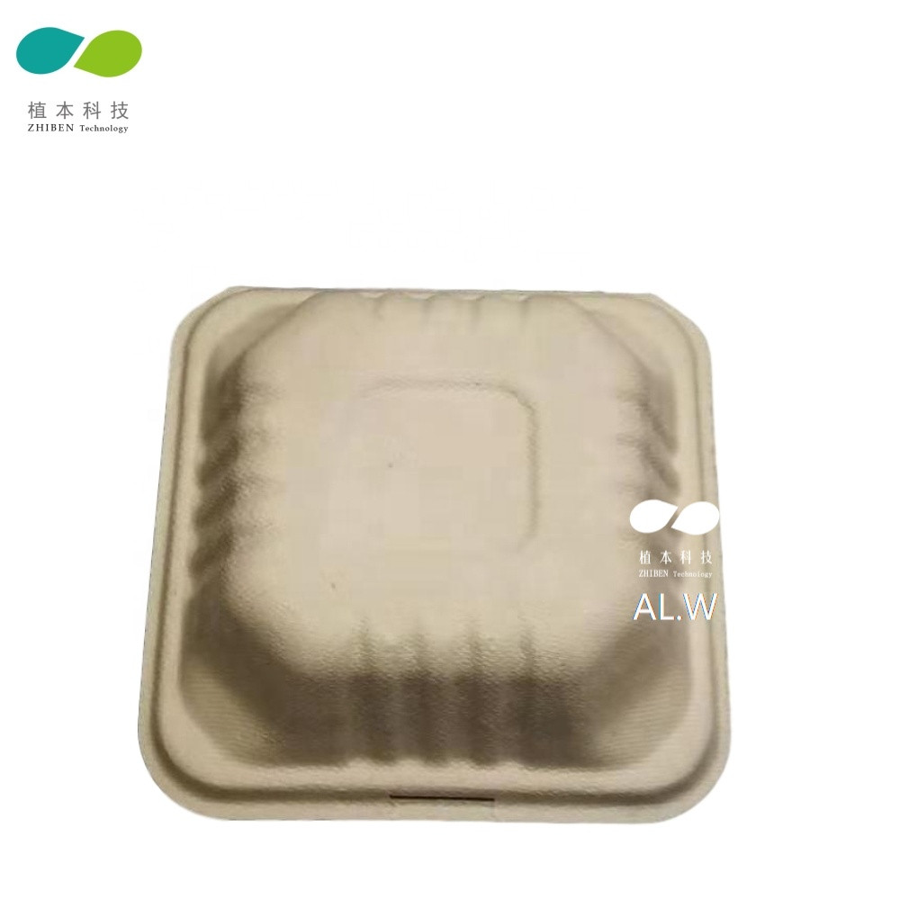 Buy 100% Biodegradable Disposable Bamboo Paper Pulp Food Container from ...