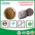 Import 100% Natural Chaga Mushroom Extract from China