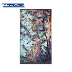 10.1 IPS TFT display panel 10.1 inch 800*1280 cellphone LCD module mobile phones lcd with MIPI
