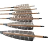 12 pcs Carbon Arrow Pinals Archery 30inch 100% Pure Carbon Fibre Shaft Recurve Bow Arrow free shipping