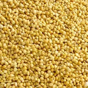 1st Grade and Premium Grade Yellow Millet