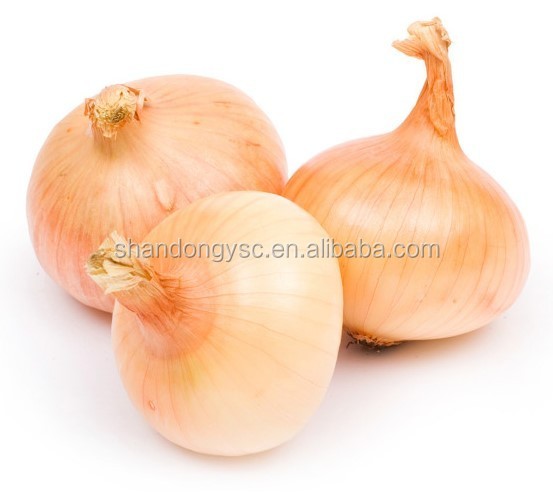 2016 hot sale yellow onion