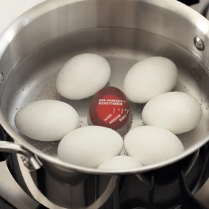 2019 Amazon hot selling kitchen cooked egg timer