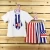 Import 2019 hot sale wholesale children&#039;s boutique clothing kids summer clothing July 4th patriotic boy clothing from China