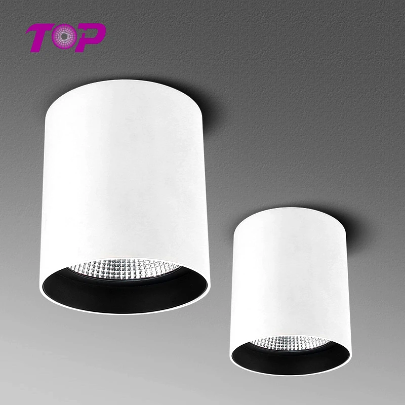 2020 newest indoor cob 15w/25w/40w/55w led downlight fitting Interior surface mount down lights led ceiling light