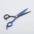 Import 2021 Best Price Premium Practical Freelender Hair Dressing Cutting Scissors Set from China