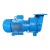 Import 2021 Electric Male Penis Processing Series Water Transfer Pump Liquid Ring Vacuum Pump from China